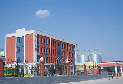 酿造工厂设计与生产技术支持 优化流程与提升效益